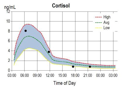 Cortisol Level Chart