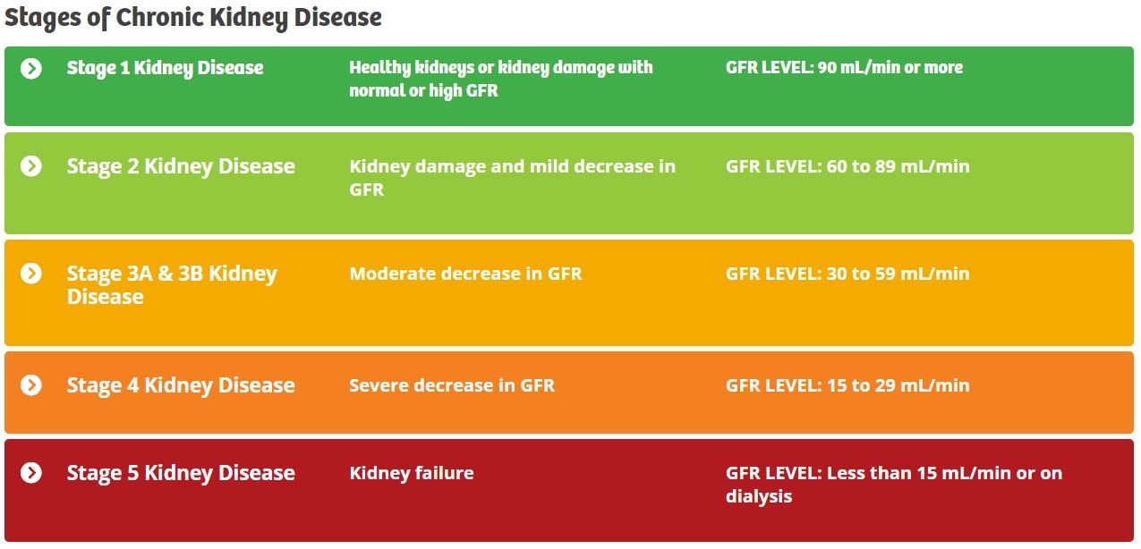 Kidney Disease Gfr Chart