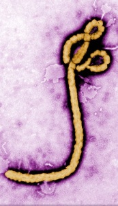ebola_wafrica-texas