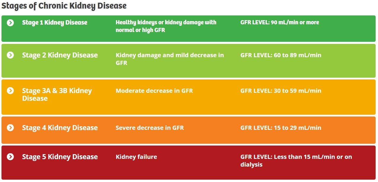 Protect Your Kidneys Dr Cheryl Kasdorf ND