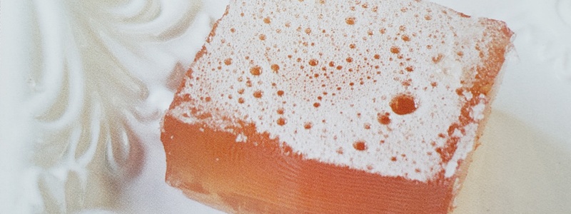 Kombucha Gelatin