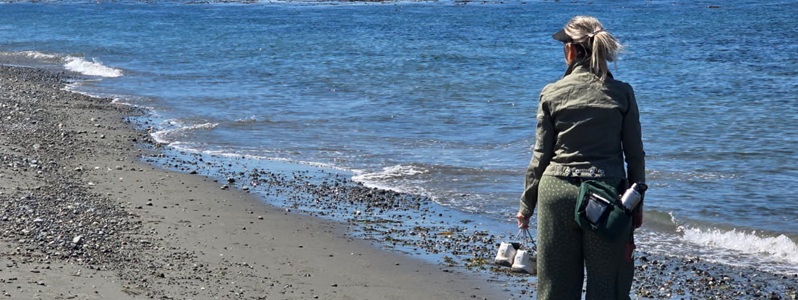 My 2025 Summer Vacation